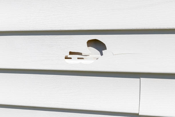 Trusted Ladson, SC Siding Experts